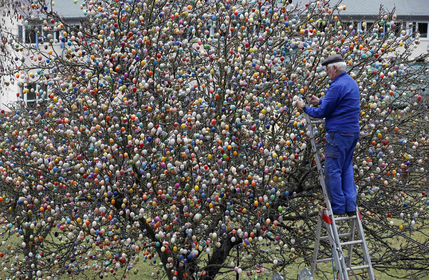 This German Family Spent More Than 2 Weeks Decorating A Tree With 10,000 Painted Eggs This German Family Spent More Than 2 Weeks Decorating A Tree With 10,000 Painted Eggs