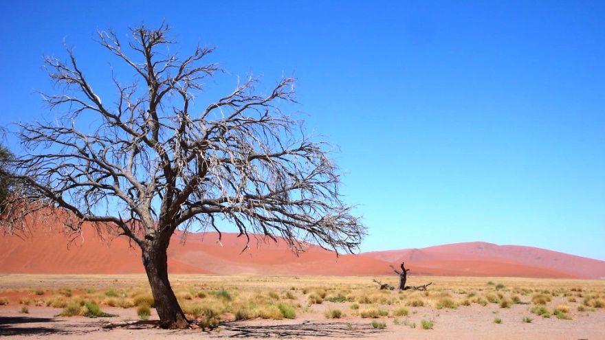 We Got Lost In Namibia
