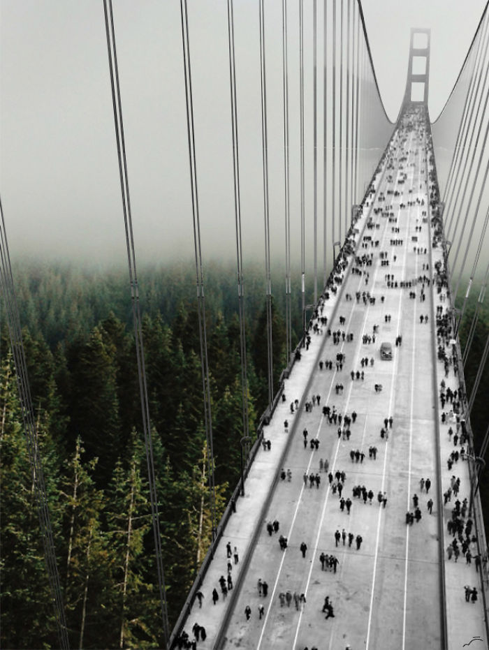 Collages Of Vintage Photos Blended With Natural Elements To Make Them More Joyful