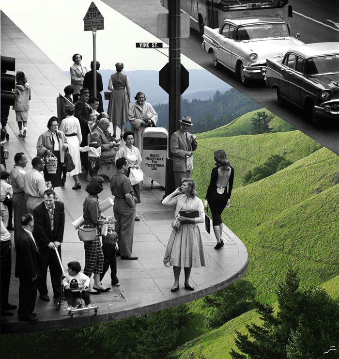 Collages Of Vintage Photos Blended With Natural Elements To Make Them More Joyful