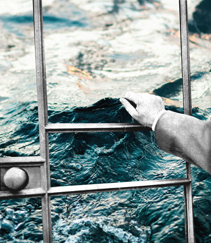 Collages Of Vintage Photos Blended With Natural Elements To Make Them More Joyful