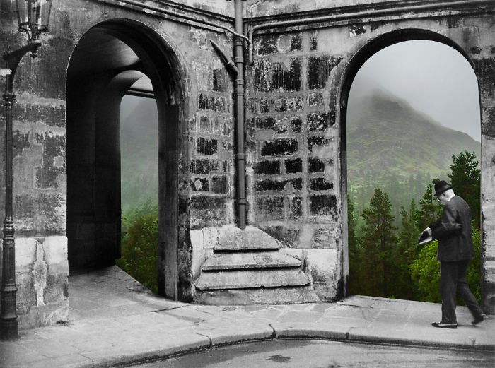 Collages Of Vintage Photos Blended With Natural Elements To Make Them More Joyful