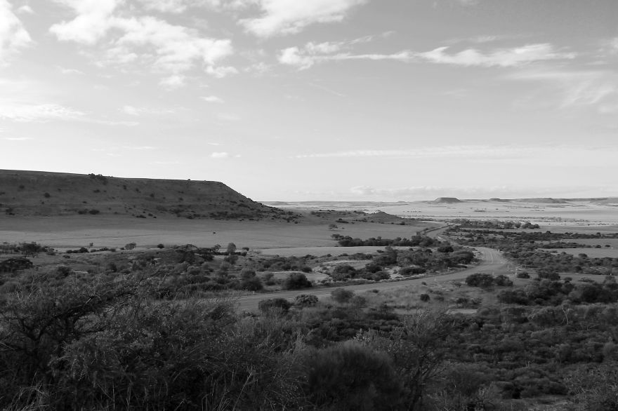 Nature In Black And White Nature In Black And White