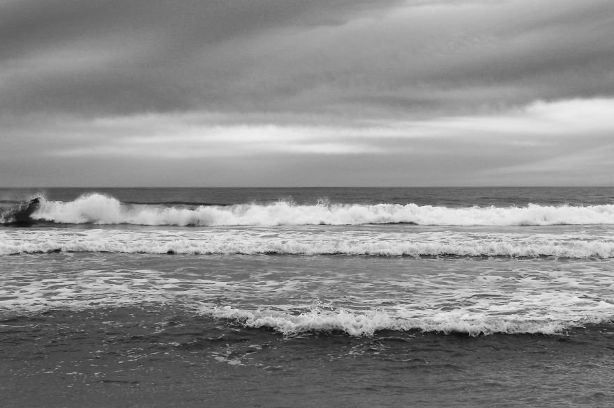 Nature In Black And White