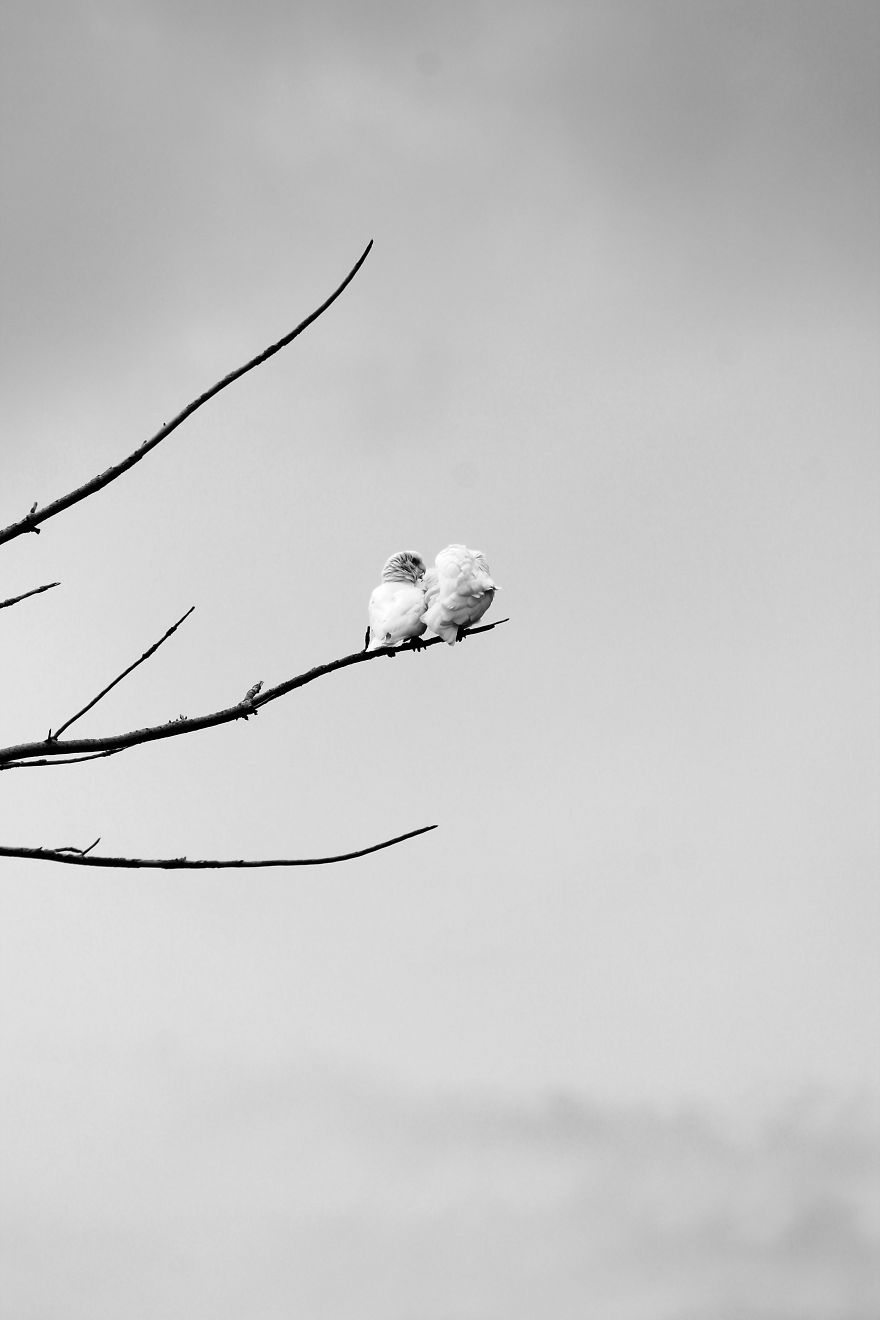 Nature In Black And White Nature In Black And White