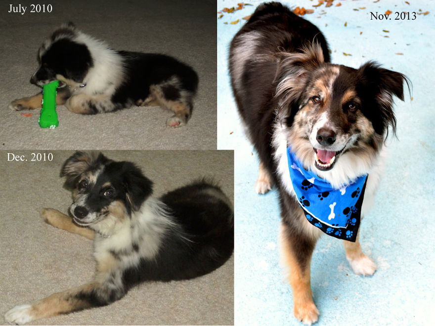 Once A Fluff-ball, Always A Fluff-ball