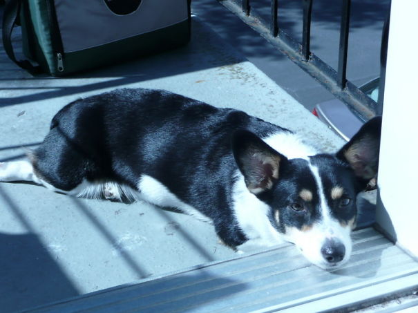 Et Je Vous Garde à L'oeil!