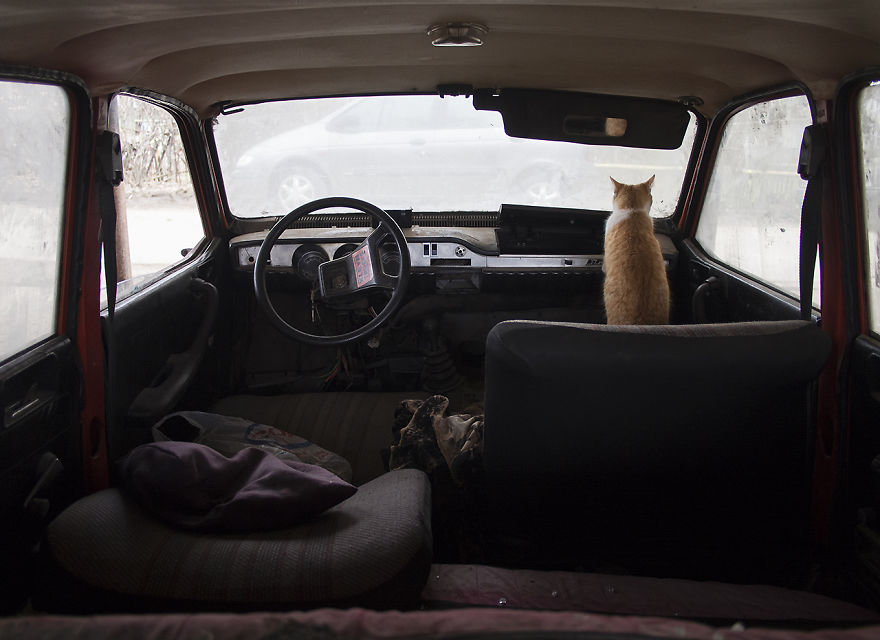 I Find Humor In The Small-Town Streets Of Romania I Find Humor In The Small-Town Streets Of Romania