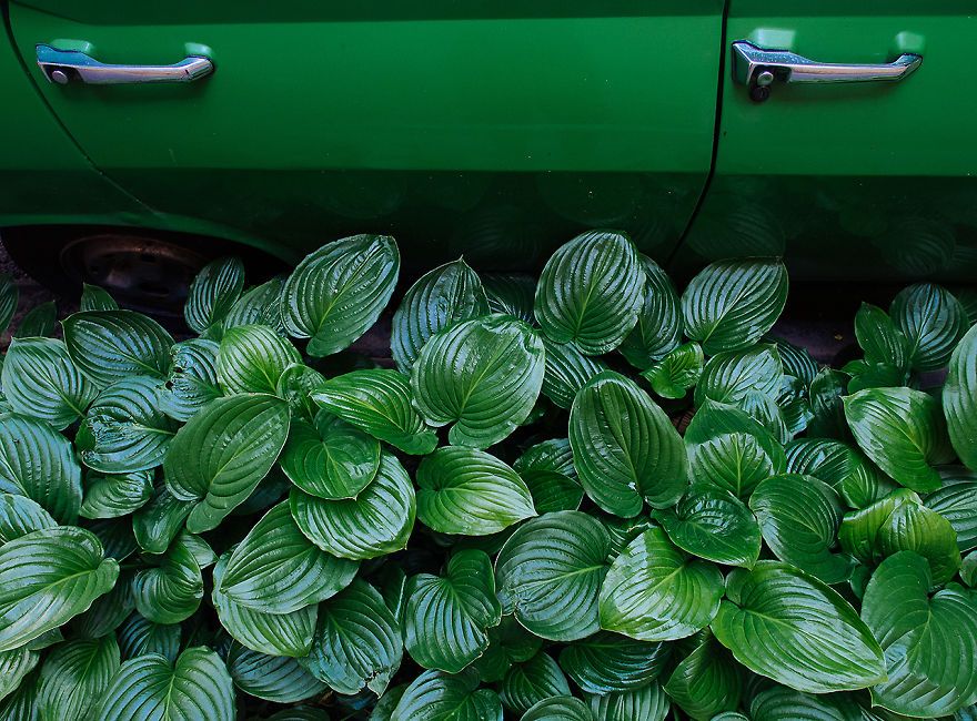 I Find Humor In The Small-Town Streets Of Romania I Find Humor In The Small-Town Streets Of Romania