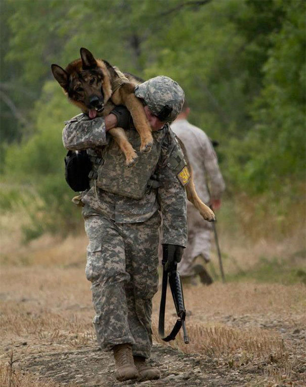 A True Soldier And A True Friend