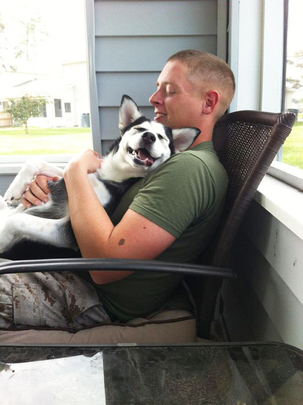 Adorable Husky With A Soldier