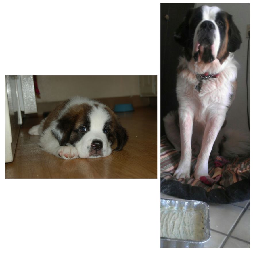 Robbie At One Month And One Year