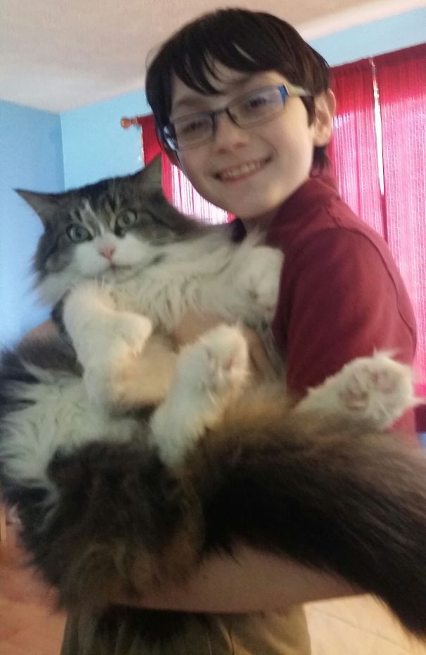 Sgt Pepper And His Best Friend