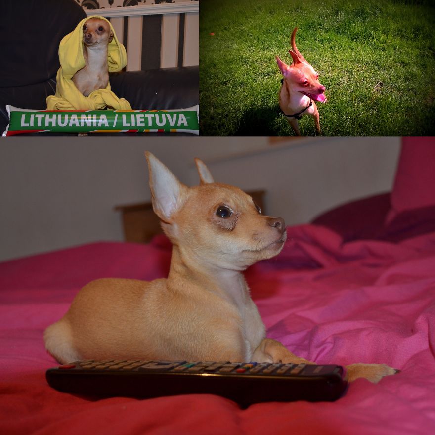 3 Months And 1 Year +