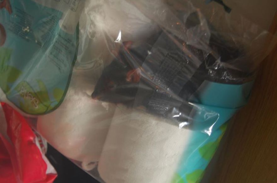 A Really Comfy Place To Sleep In:d