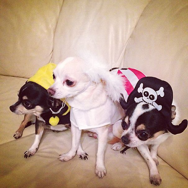 My Three Little Angels