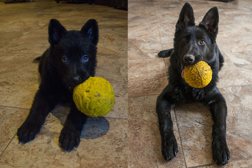 Remi, Four Months Apart