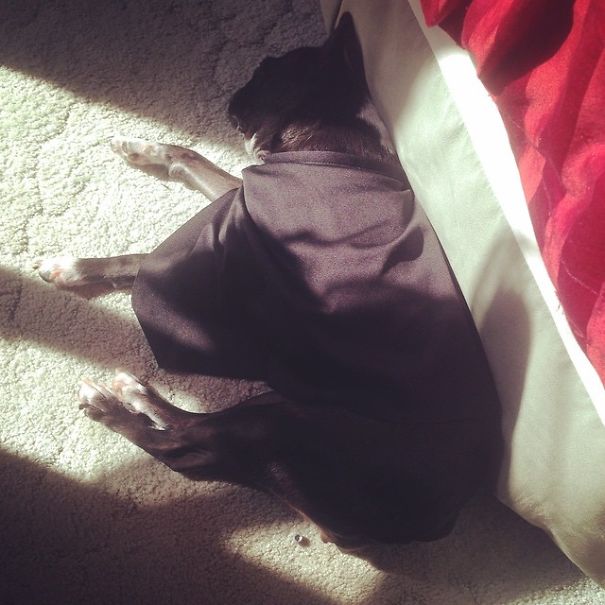 The Sunbeam Superhero - Complete With Cape