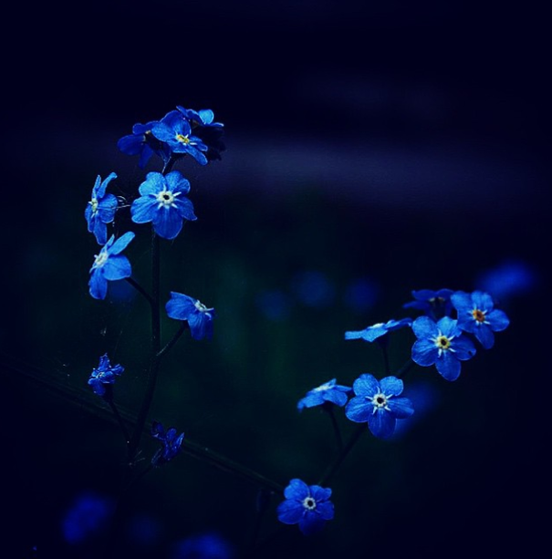 A State Of Awesomeness: My Collection Of Random Pictures From My Travels A State Of Awesomeness: My Collection Of Random Pictures From My Travels