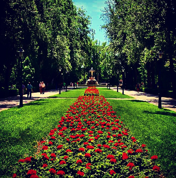 A State Of Awesomeness: My Collection Of Random Pictures From My Travels