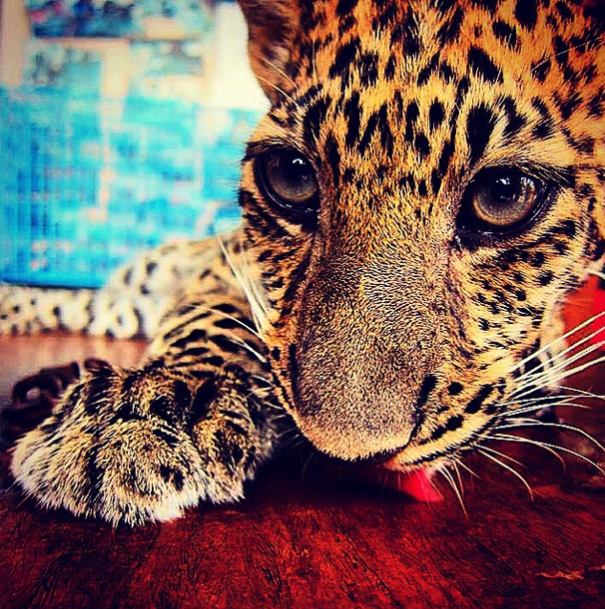 A State Of Awesomeness: My Collection Of Random Pictures From My Travels