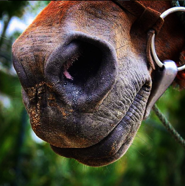 A State Of Awesomeness: My Collection Of Random Pictures From My Travels