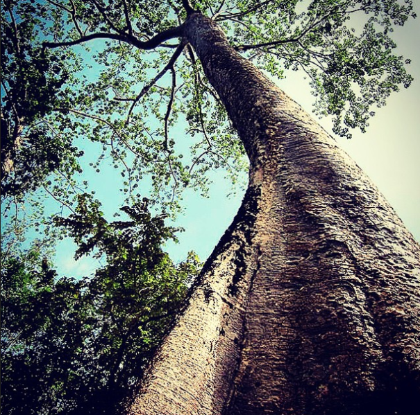 A State Of Awesomeness: My Collection Of Random Pictures From My Travels