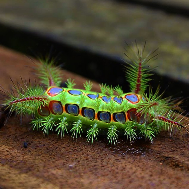 A State Of Awesomeness: My Collection Of Random Pictures From My Travels