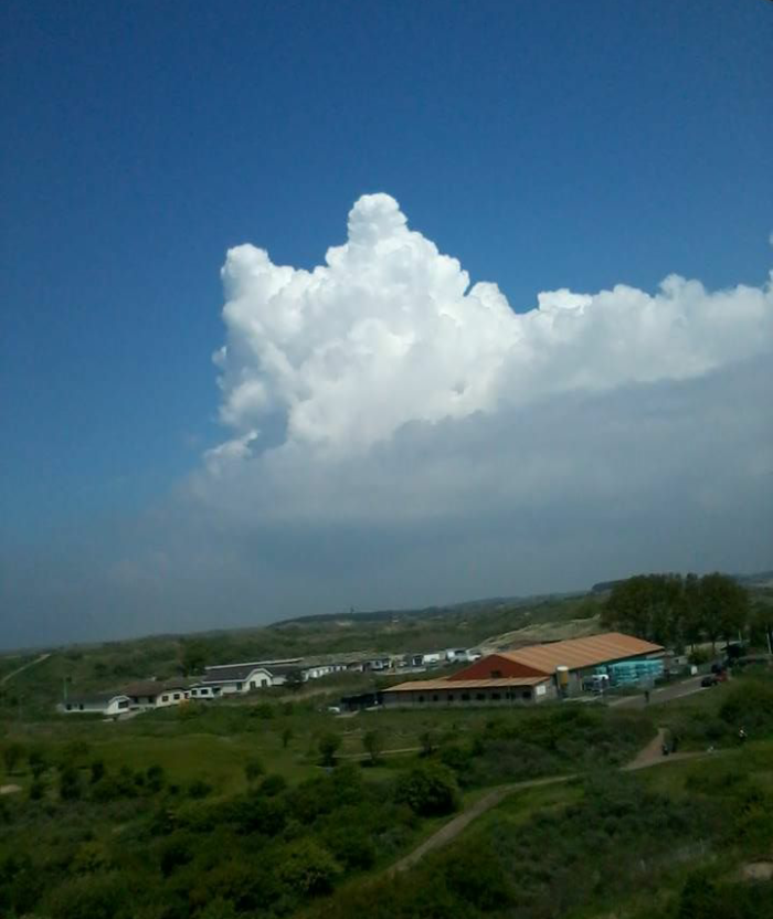 Cat Cloud In Zandvoort