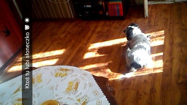 Bella Loves The Sun :)