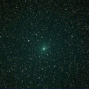 Questionablelove avatar