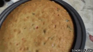 21-step Guide On How To Cook With Cats