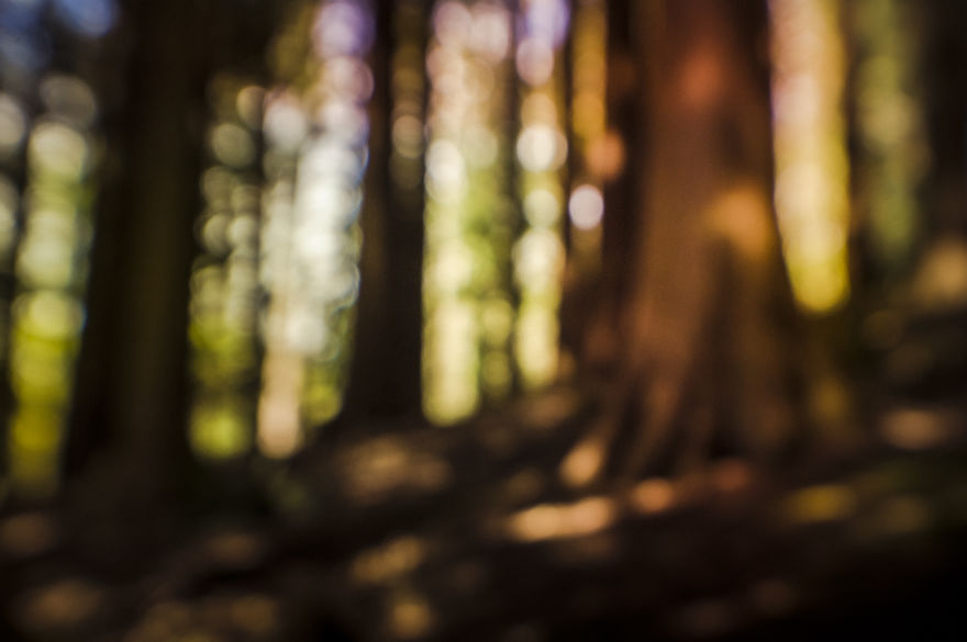 I Take Surrealist Photographs Of The Welsh Landscape In Memory Of My Father.