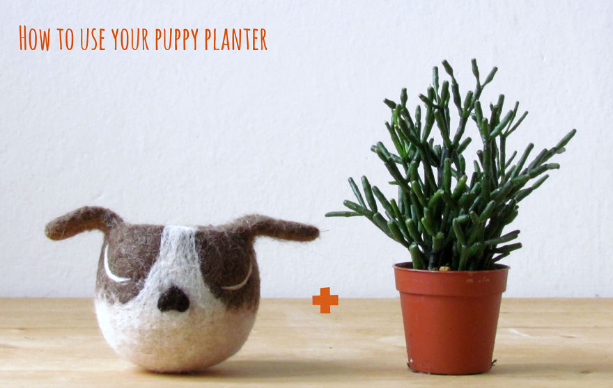 Animalplanters Turn Your Flower Pots Into Cute Animals Animalplanters Turn Your Flower Pots Into Cute Animals