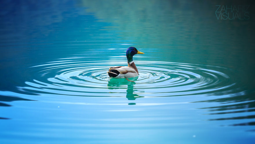 The Hidden Beauty: My Photographic Journey Through Bosnia &amp; Herzegovina