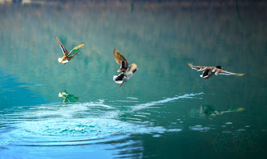 The Hidden Beauty: My Photographic Journey Through Bosnia &amp; Herzegovina