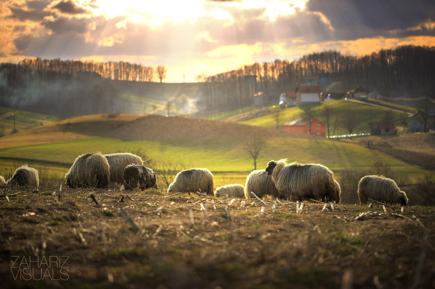 The Hidden Beauty: My Photographic Journey Through Bosnia &amp; Herzegovina