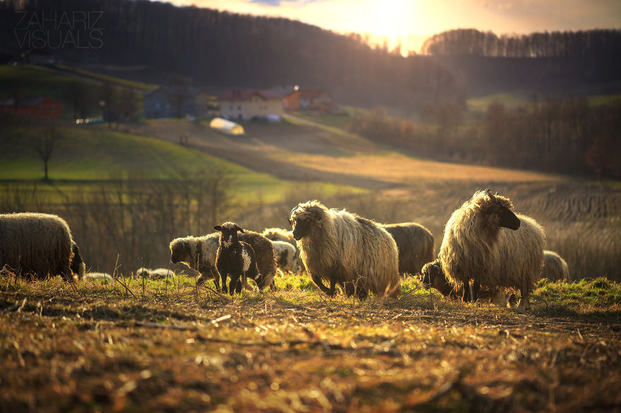 The Hidden Beauty: My Photographic Journey Through Bosnia &amp; Herzegovina