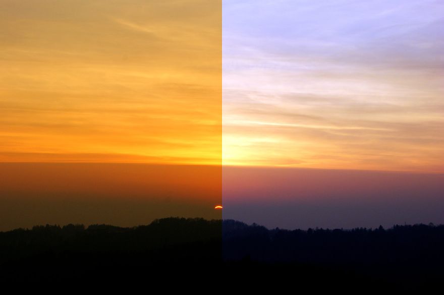 You Won't Believe This Artist Is Still Jobless ...