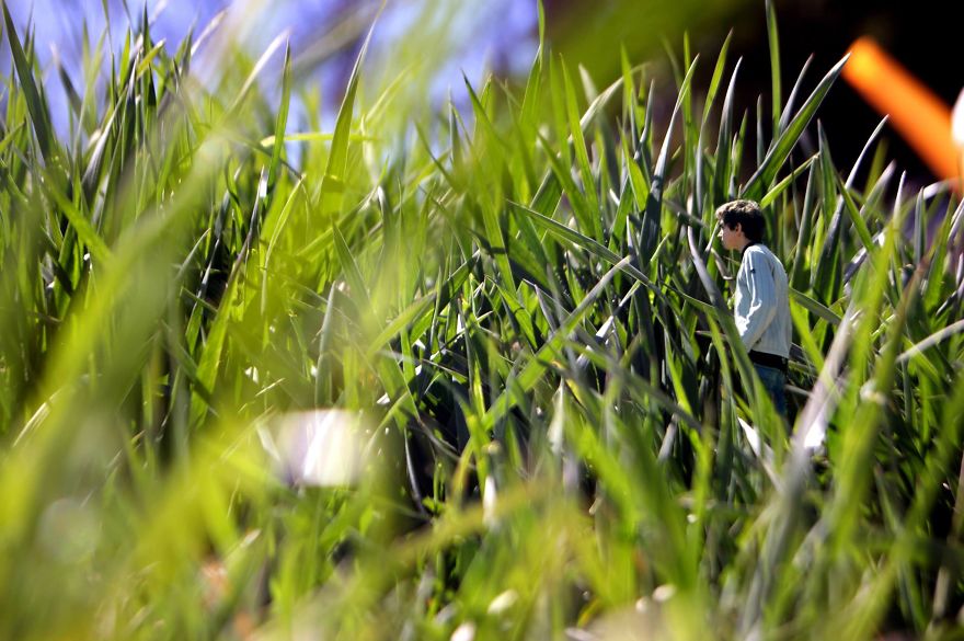 You Won't Believe This Artist Is Still Jobless ... You Won't Believe This Artist Is Still Jobless ...