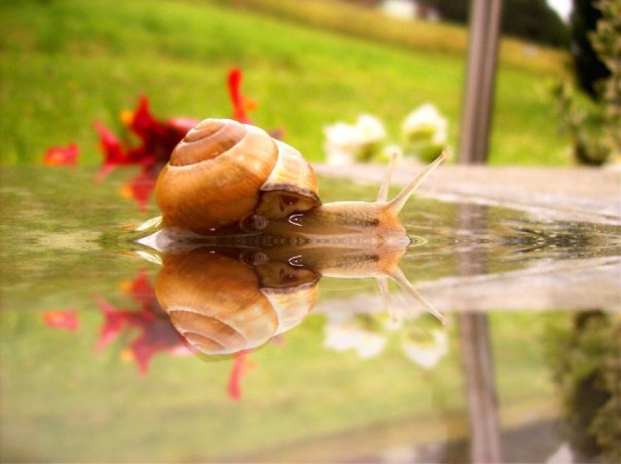 You Won't Believe This Artist Is Still Jobless ...