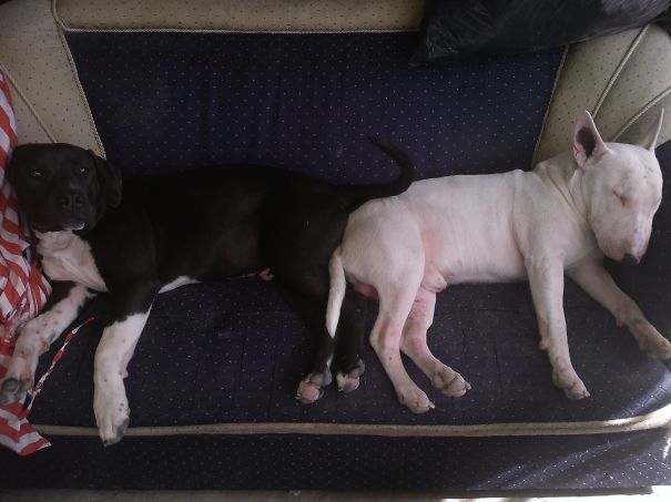 Sorry The Couch Has No More Space