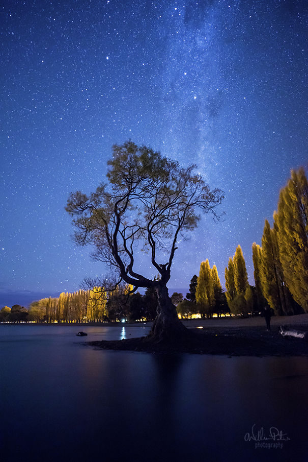 It's Ok To Stand Alone: I Take Pictures Of Lone Trees