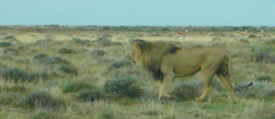 We Got Lost In Namibia