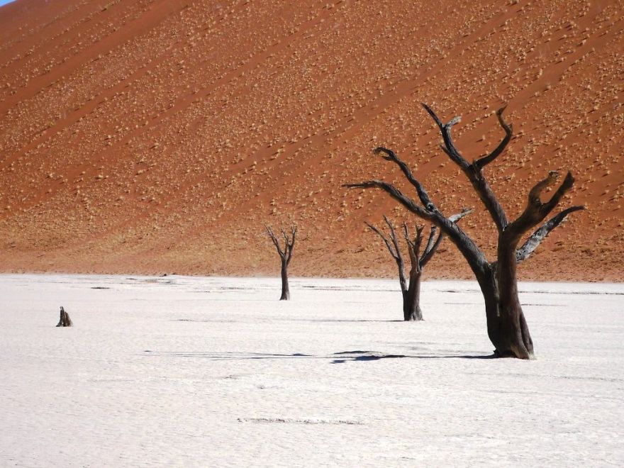 We Got Lost In Namibia