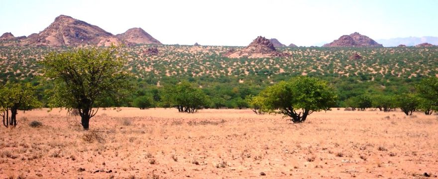 We Got Lost In Namibia
