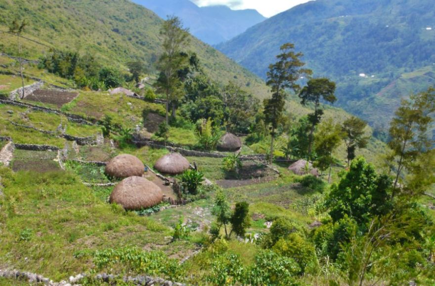 Our Trip To The Mystic Baliem Valley, West Papua Our Trip To The Mystic Baliem Valley, West Papua