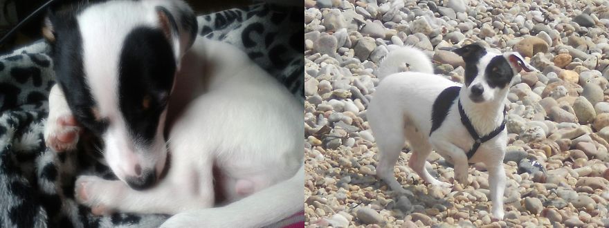 Just Over Two Years Later!