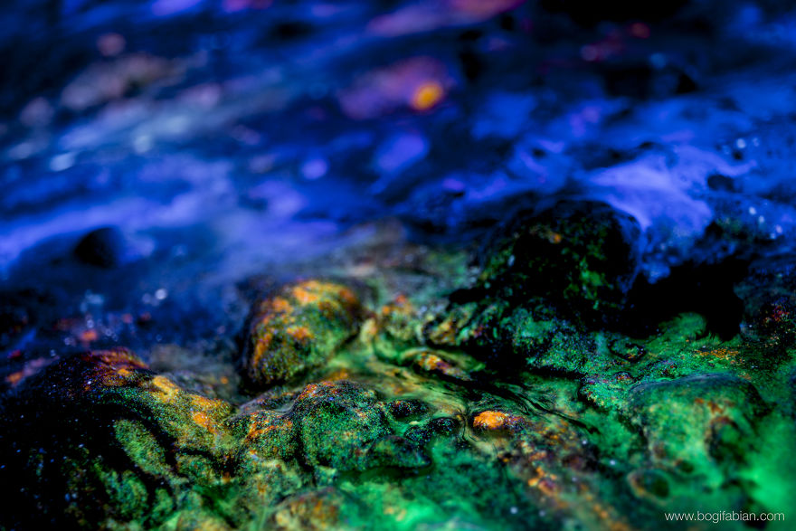 Windows To The Universe - My Cosmic Dreamscape&nbsp;