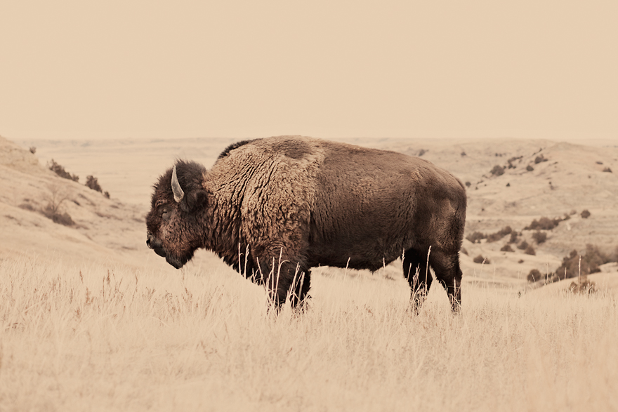 Why I Quit The Fashion Industry To Live In A Cabin In The Woods Why I Quit The Fashion Industry To Live In A Cabin In The Woods